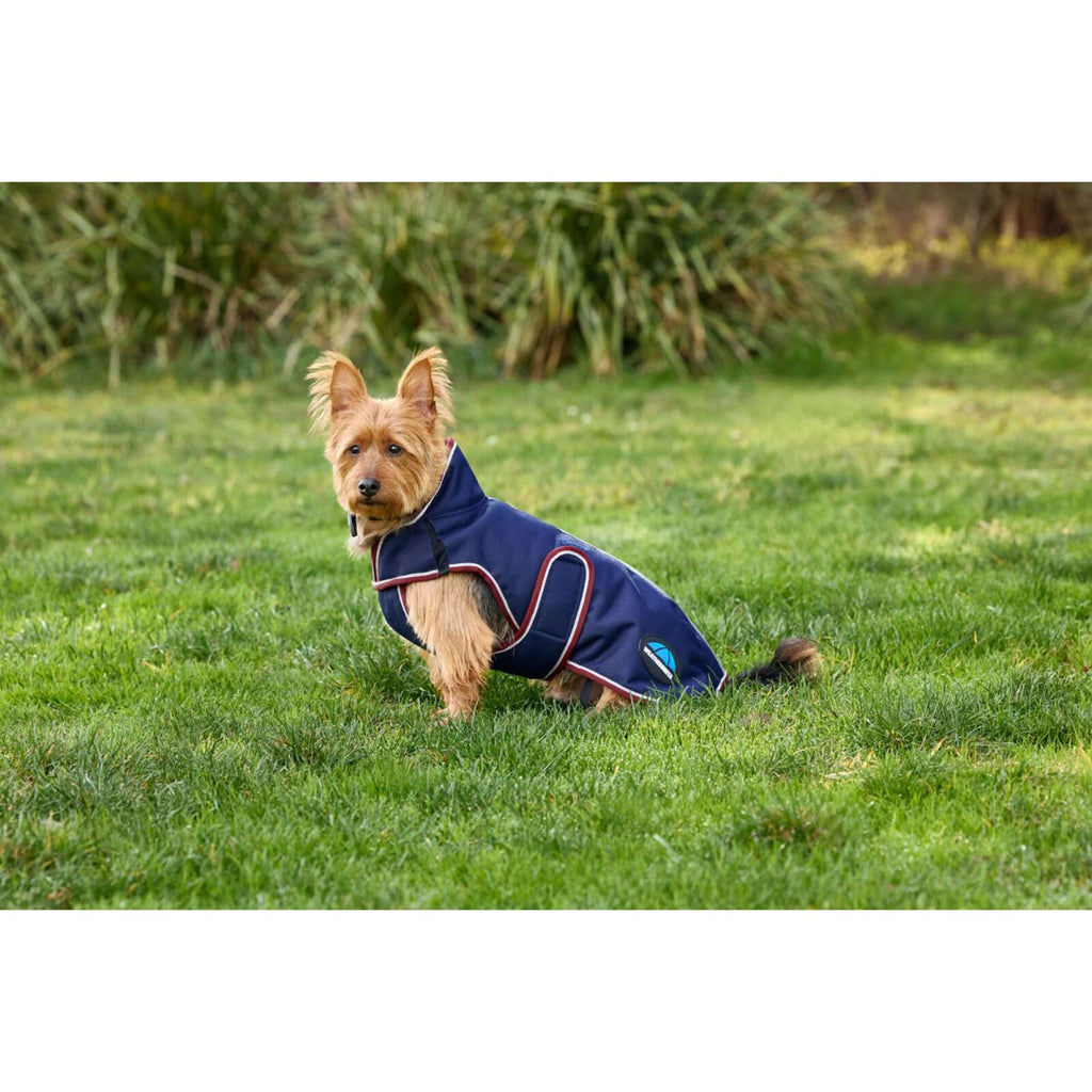 WeatherBeeta Couverture pour Chien ComFiTec Premier Deluxe Waterproof Marine/Bordeaux