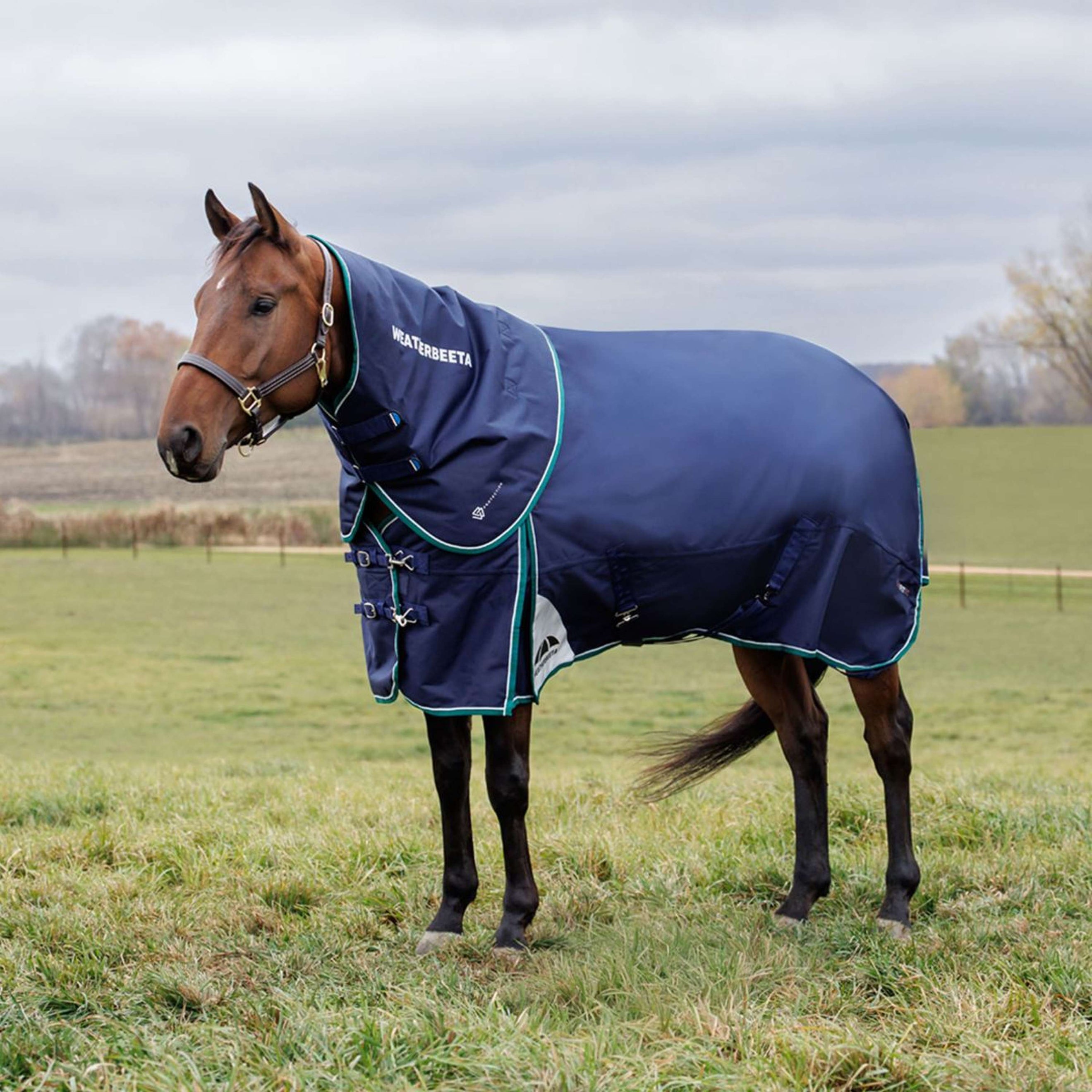 WeatherBeeta ComFiTec Plus Dynamic Turnout Detach-A-Neck 360g Navy/Forest Green
