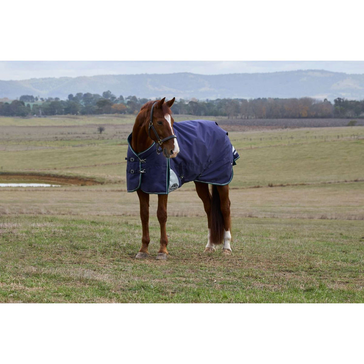 WeatherBeeta ComFiTec Plus Dynamic Turnout 220g Navy/Forest Green