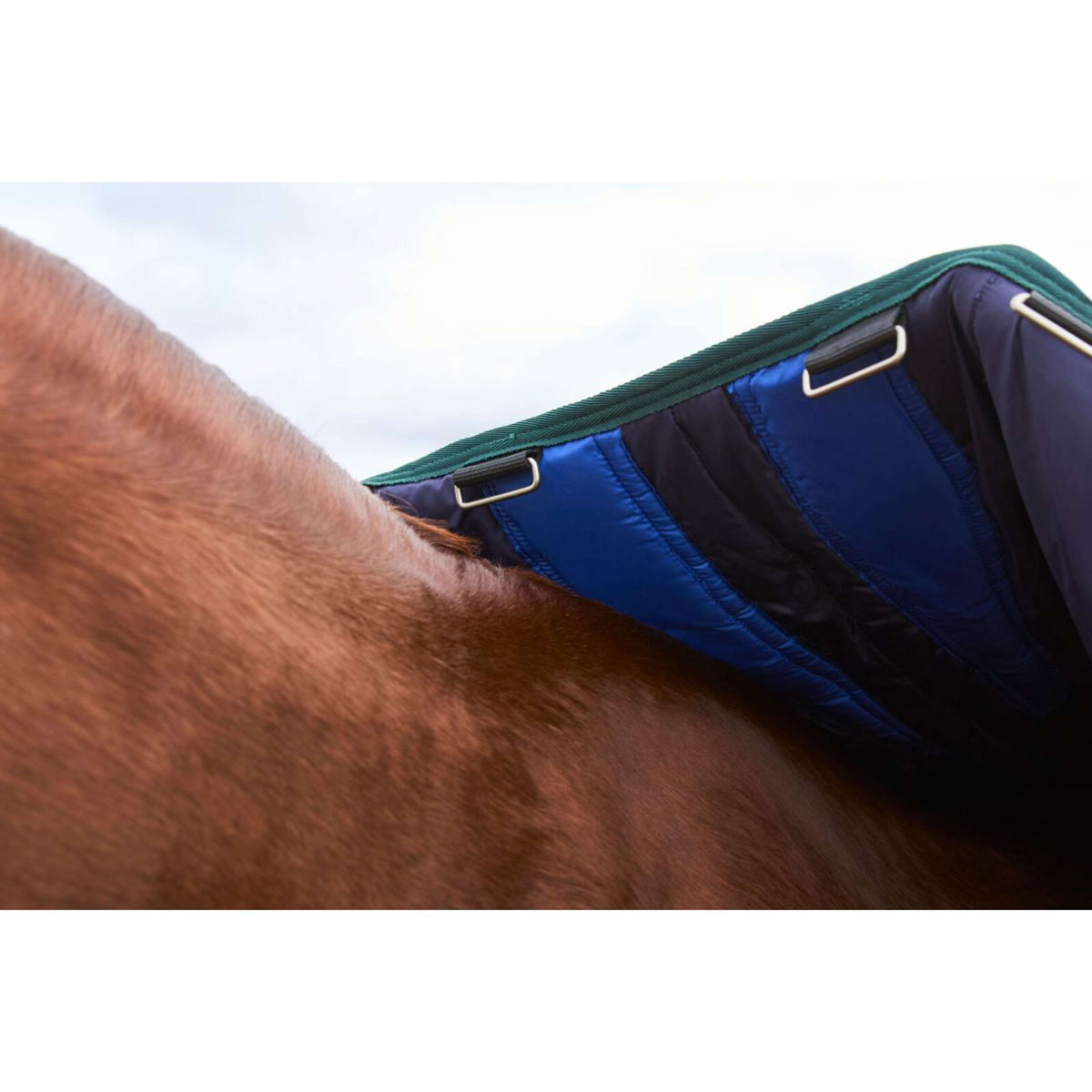 WeatherBeeta ComFiTec Plus Dynamic Turnout 0g Navy/Forest Green