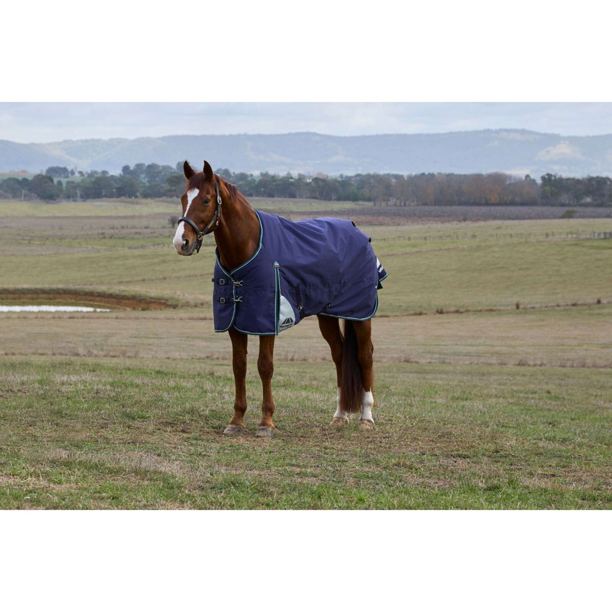 WeatherBeeta ComFiTec Plus Dynamic Turnout 220g Navy/Forest Green