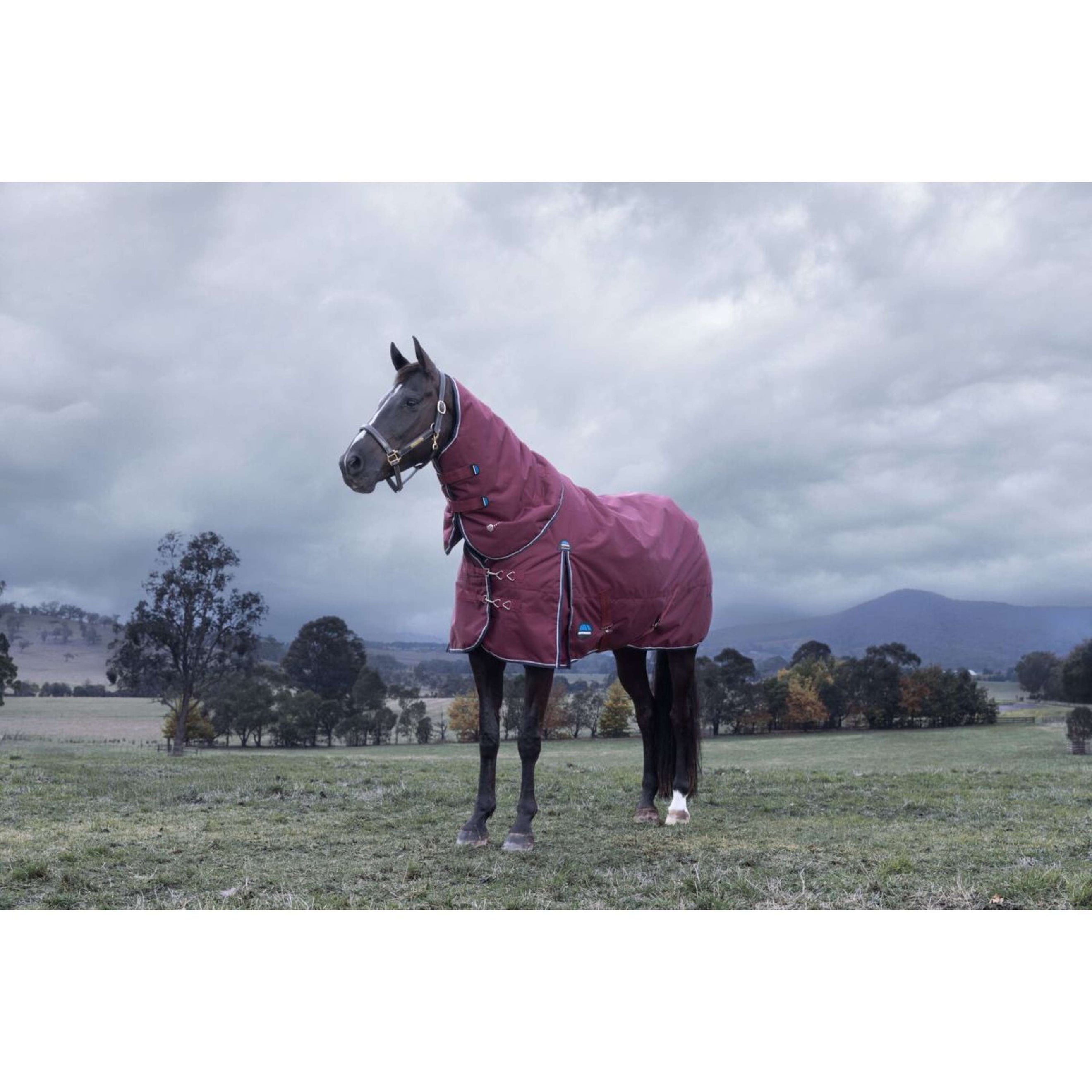 WeatherBeeta ComFiTec Essential Turnout Detach-A-Neck 220g Bourgogne/Marine WeatherBeeta ComFiTec Essential Turnout Detach-A-Neck 220g Bourgogne/Marine