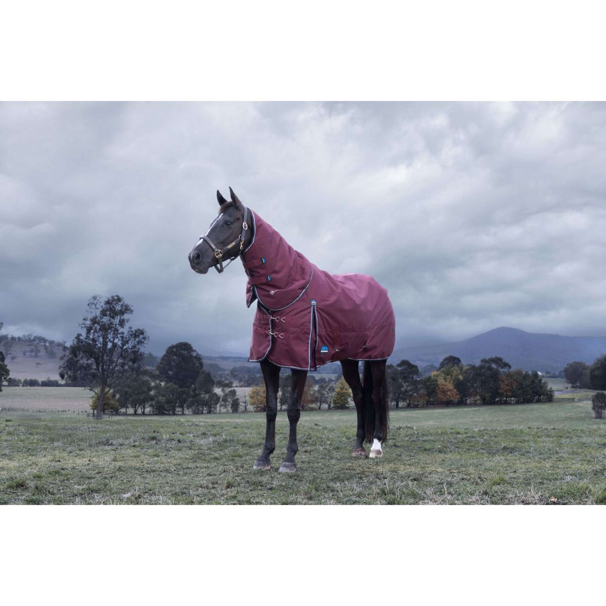 WeatherBeeta ComFiTec Essential Turnout Detach-A-Neck 220g Bourgogne/Marine