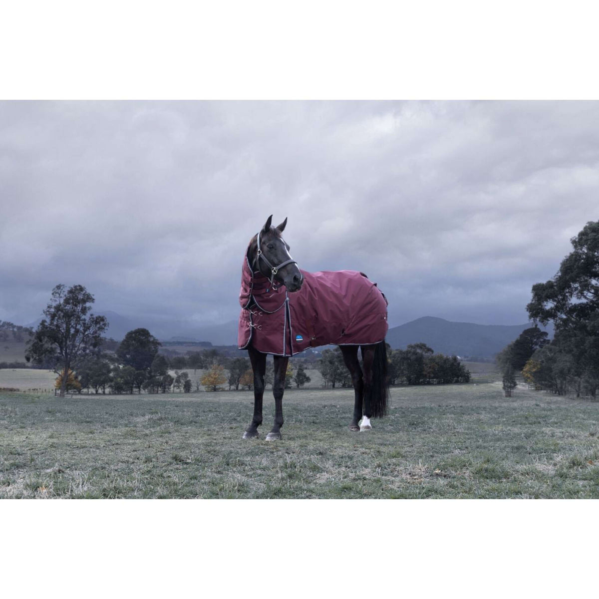 WeatherBeeta ComFiTec Essential Turnout Detach-A-Neck 220g Bourgogne/Marine