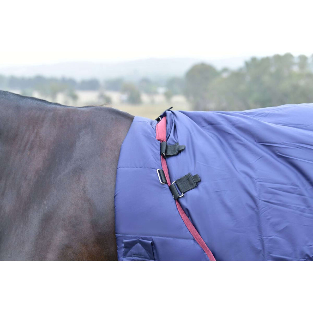 WeatherBeeta ComFiTec Essential Turnout Detach-A-Neck 220g Marine/Bordeaux