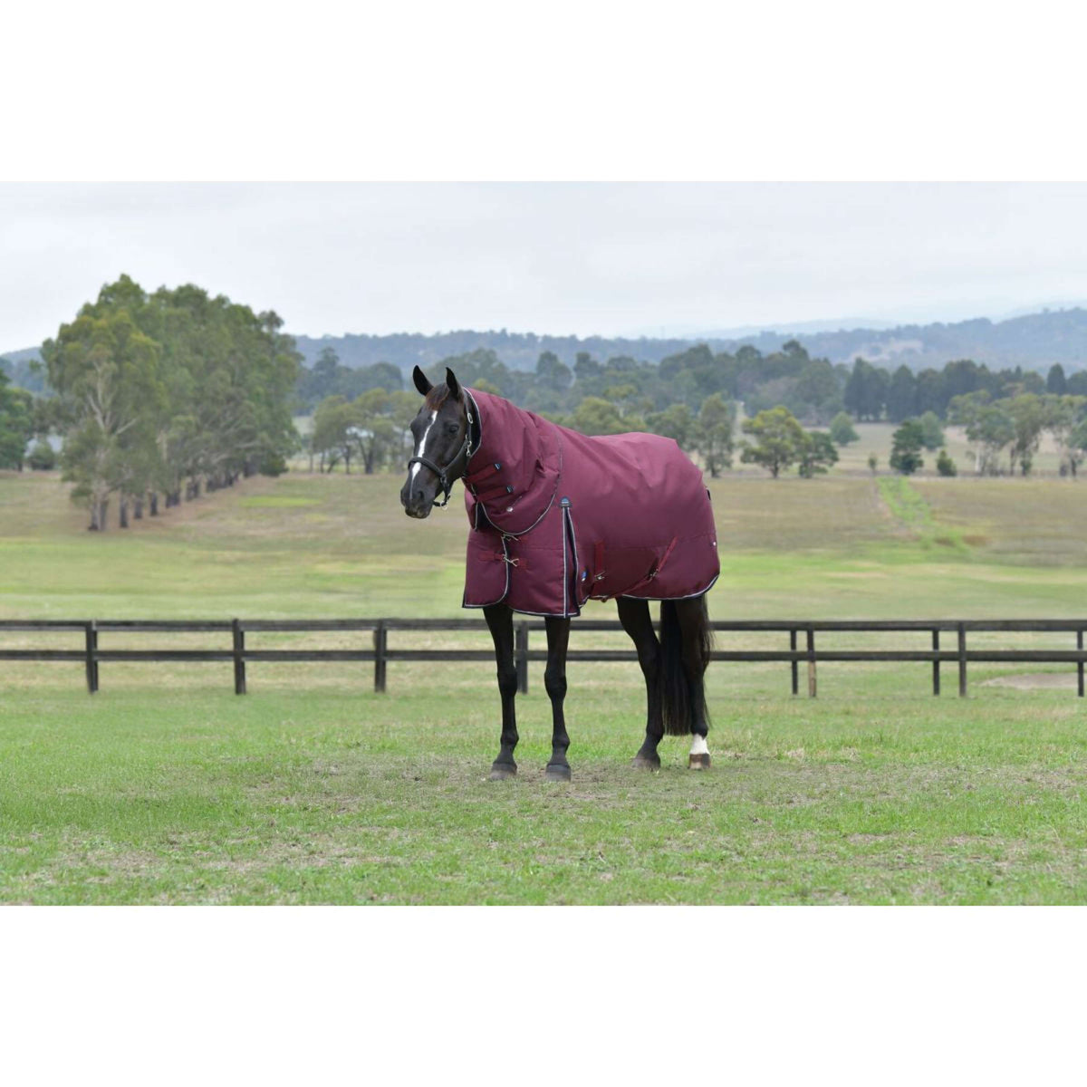 WeatherBeeta ComFiTec Essential Turnout Detach-A-Neck 50g Bourgogne/Marine