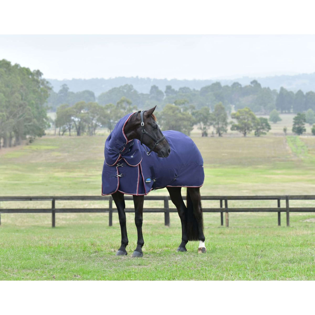 WeatherBeeta ComFiTec Essential Turnout Detach-A-Neck 50g Marine/Bordeaux