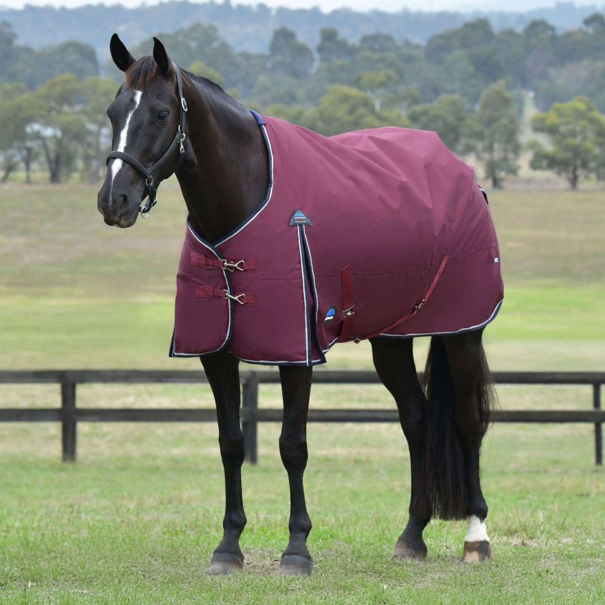 WeatherBeeta ComFiTec Essential Turnout 360g Bourgogne/Marine