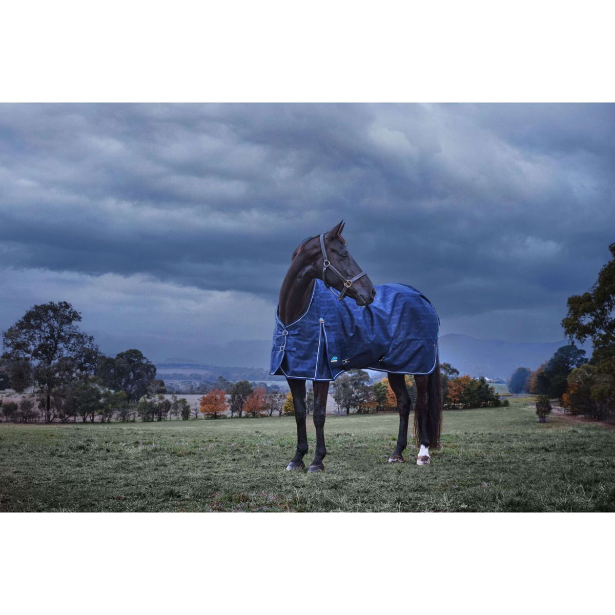 WeatherBeeta ComFiTec Prelim Turnout 220g Navy Embossed Plaid