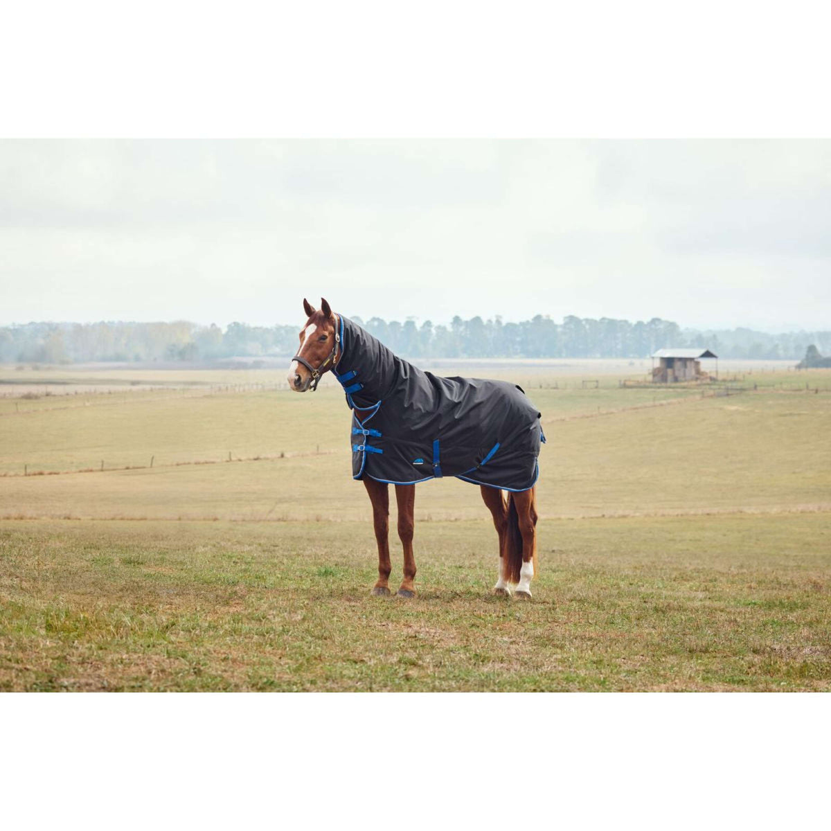 WeatherBeeta ComFiTec Tyro Turnout Combo Neck 220g Noir/Cobalt