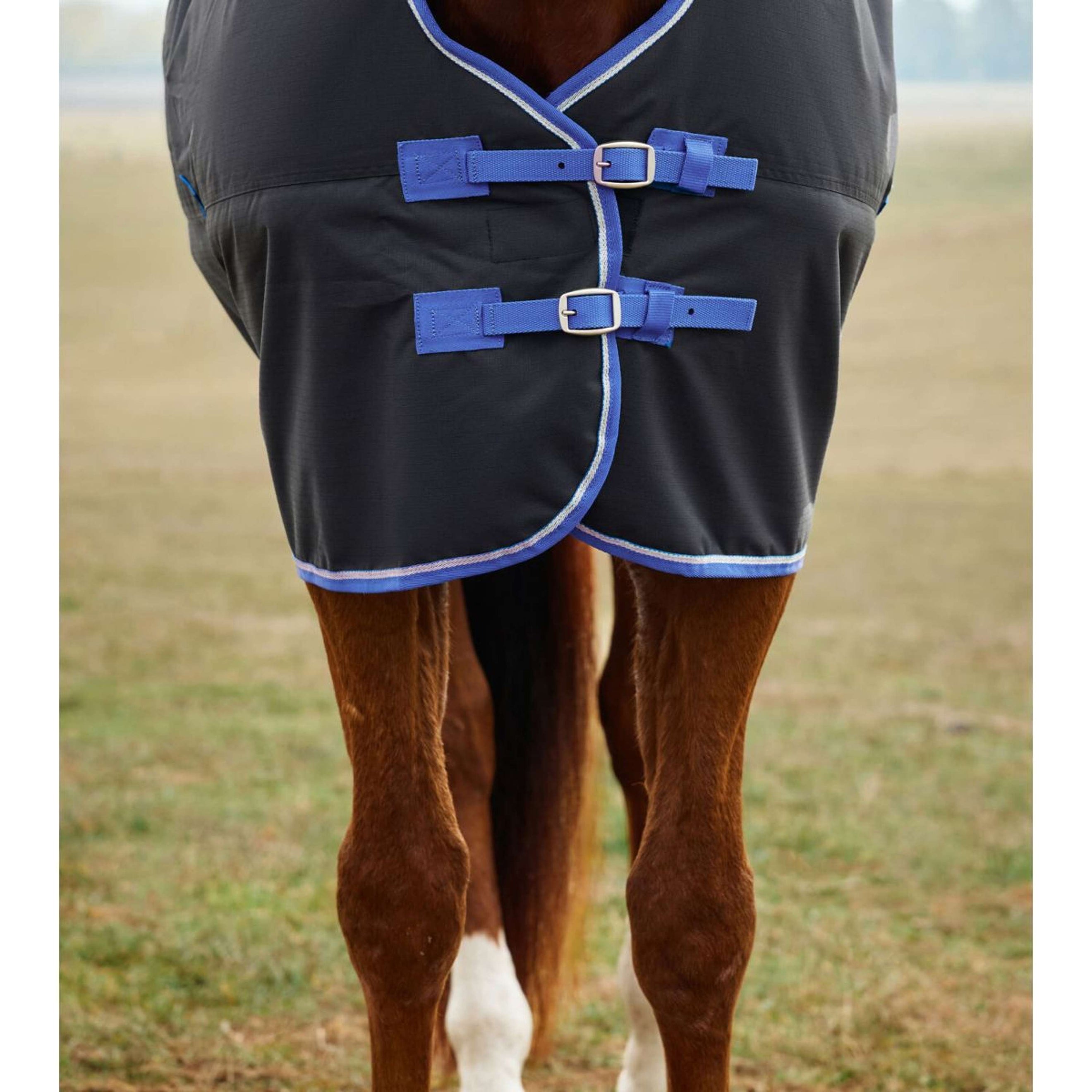 WeatherBeeta ComFiTec Tyro Turnout Standard Neck 220g Noir/Cobalt WeatherBeeta ComFiTec Tyro Turnout Standard Neck 220g Noir/Cobalt