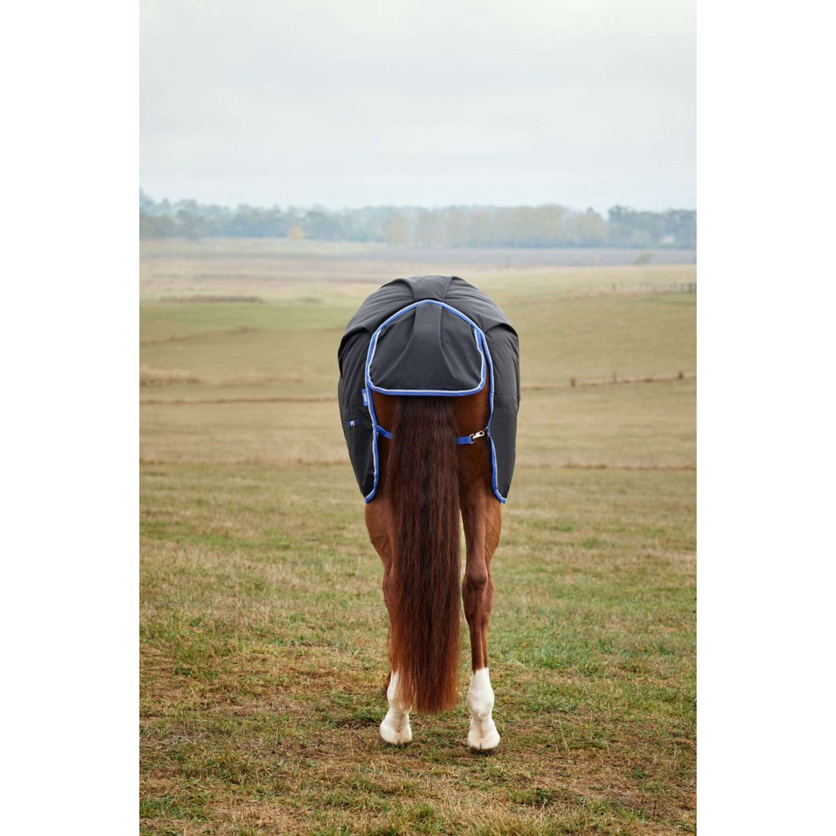 WeatherBeeta ComFiTec Tyro Turnout Standard Neck 220g Noir/Cobalt