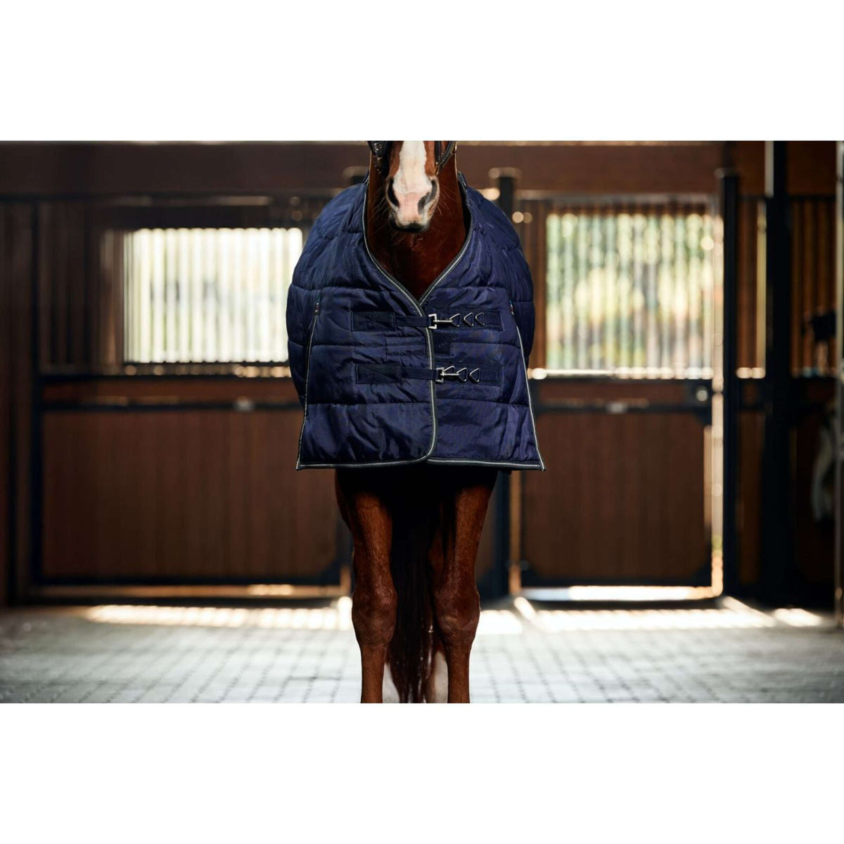 WeatherBeeta Couverture d'Écurie ComFiTec PP Channel Quilt Detach-A-Neck 220g Navy/Charcoal