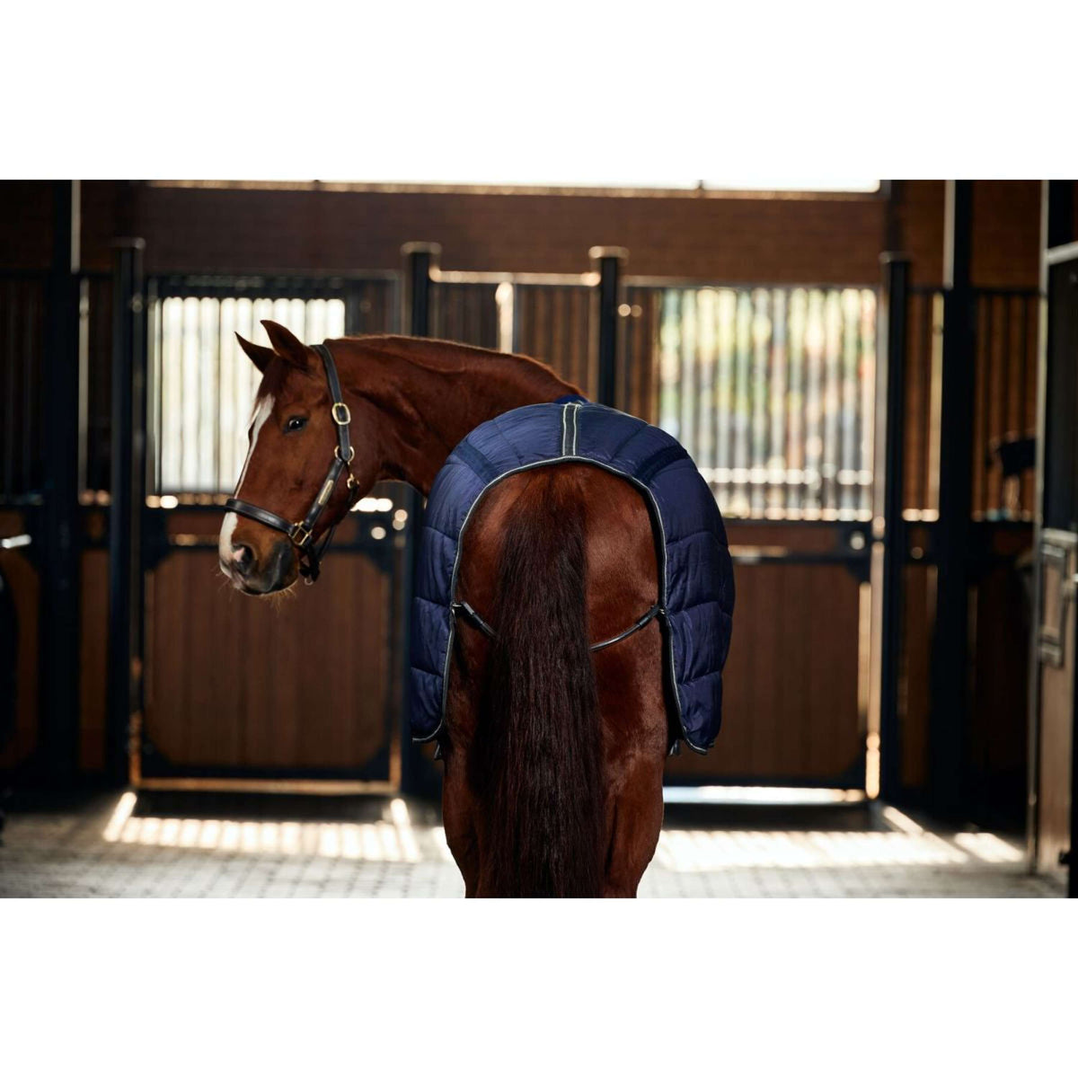 WeatherBeeta Couverture d'Écurie ComFiTec PP Channel Quilt Detach-A-Neck 220g Navy/Charcoal