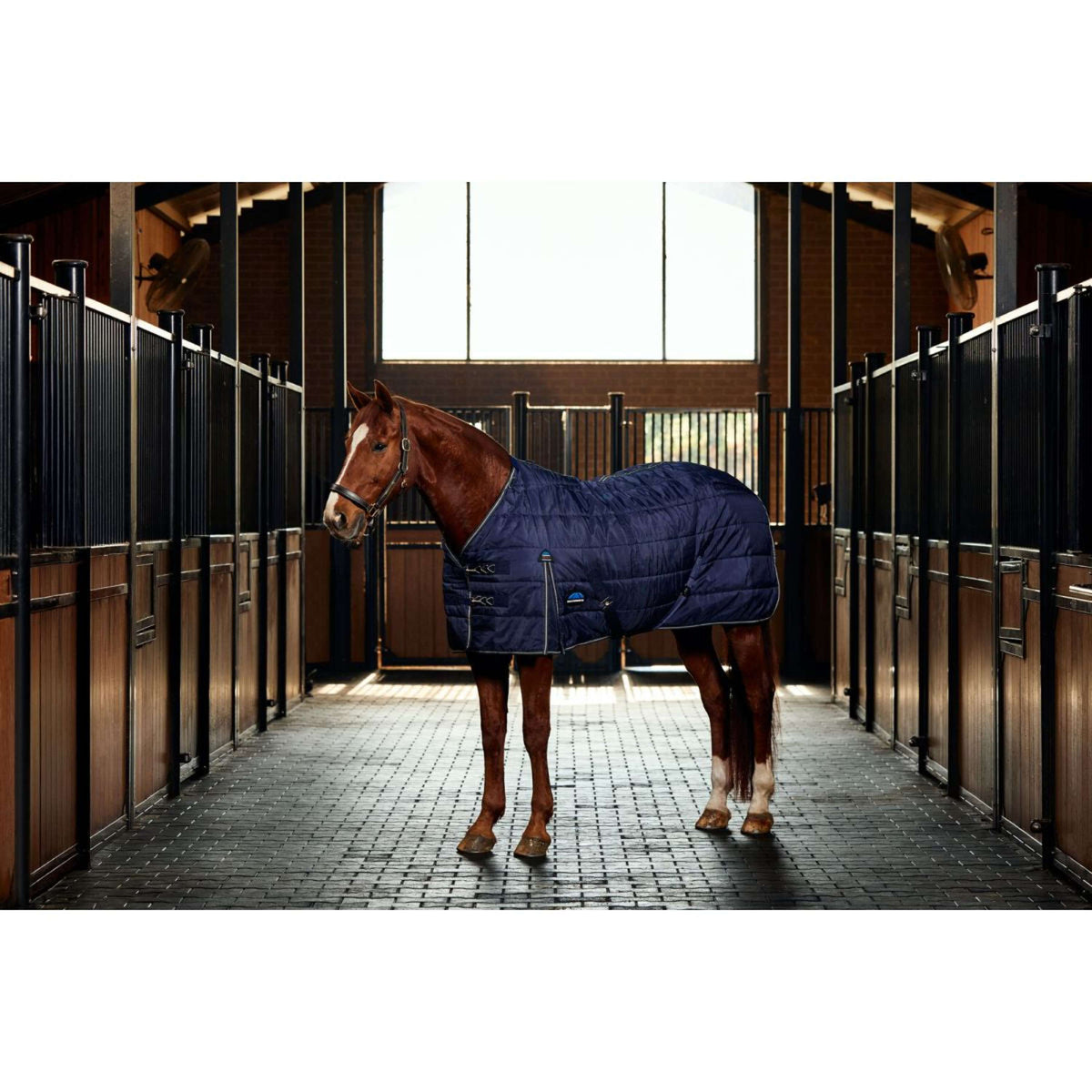 WeatherBeeta Couverture d'Écurie ComFiTec PP Channel Quilt Detach-A-Neck 220g Navy/Charcoal