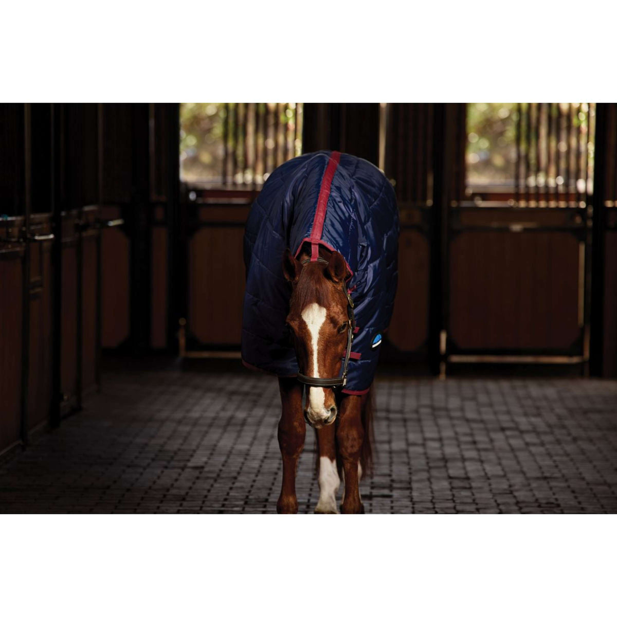 WeatherBeeta Couverture d'Écurie ComFiTec 210D Channel Quilt Combo Neck 100g Marine/Bordeaux