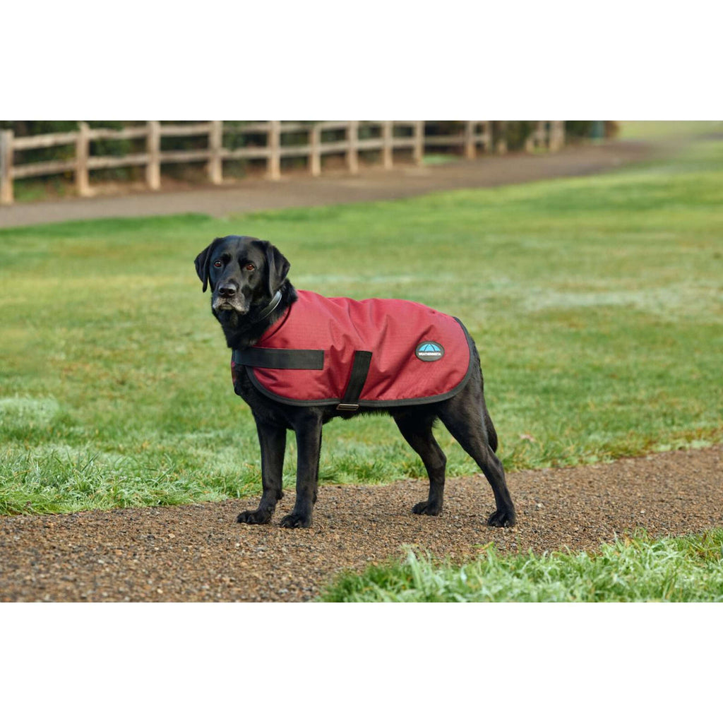 WeatherBeeta Couverture pour Chien ComFiTec Classic Waterproof Bordeaux