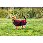 WeatherBeeta Couverture pour Chien ComFiTec Classic Waterproof Bordeaux