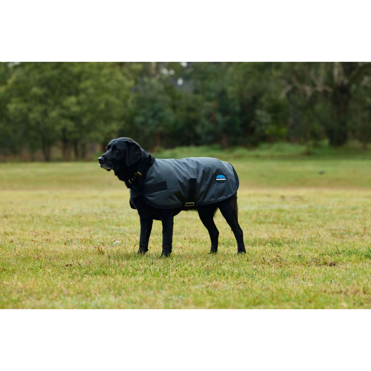 WeatherBeeta Couverture pour Chien ComFiTec Classic Waterproof Charbon