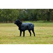 WeatherBeeta Couverture pour Chien ComFiTec Classic Waterproof Charbon