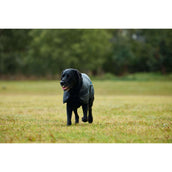 WeatherBeeta Couverture pour Chien ComFiTec Classic Waterproof Charbon