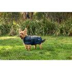 WeatherBeeta Couverture pour Chien ComFiTec Classic Waterproof Charbon
