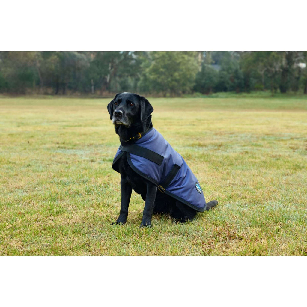 WeatherBeeta Couverture pour Chien ComFiTec Classic Waterproof Marin