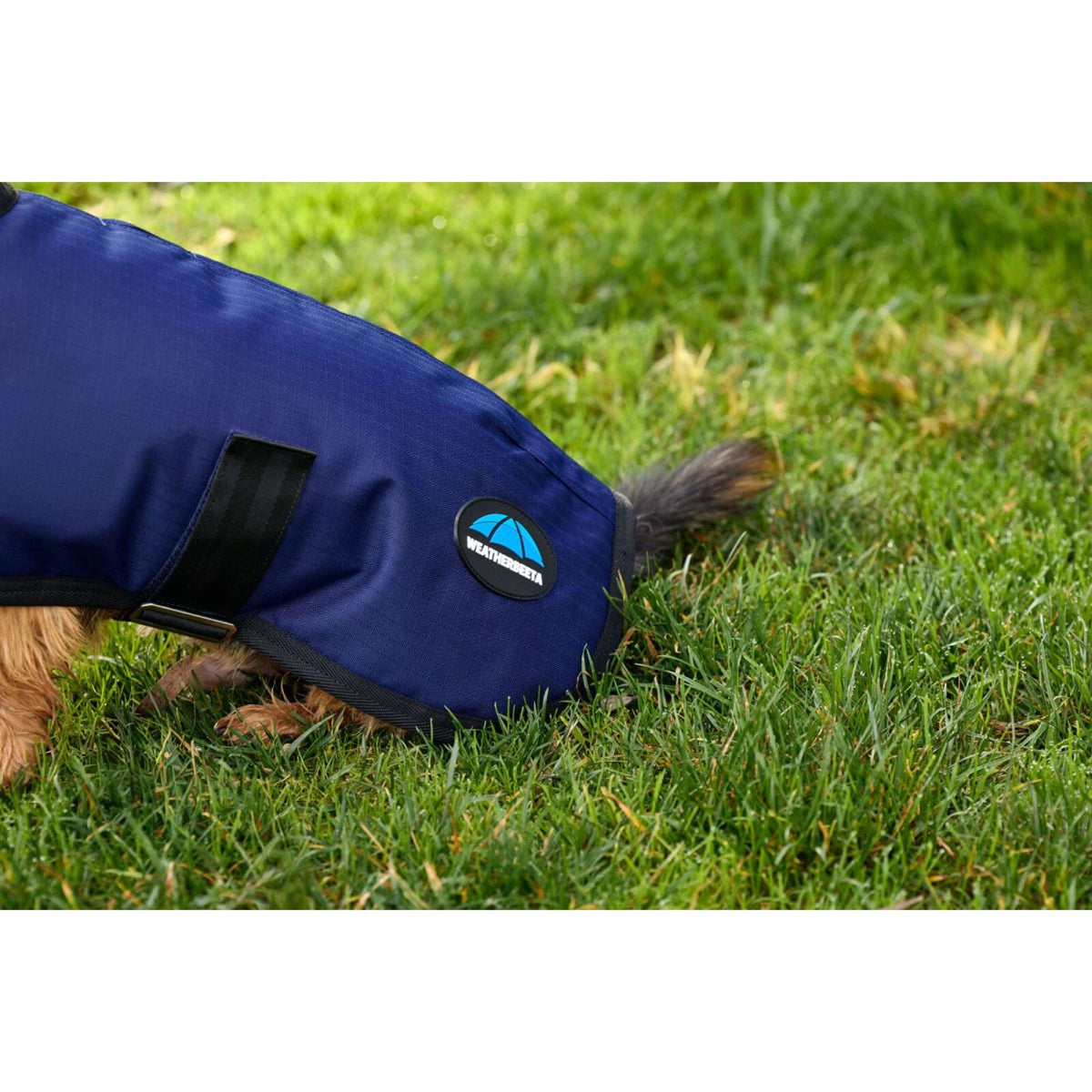 WeatherBeeta Couverture pour Chien ComFiTec Classic Waterproof Marin