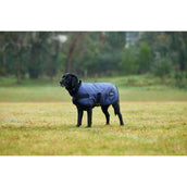 WeatherBeeta Couverture pour Chien ComFiTec Classic Waterproof Marin