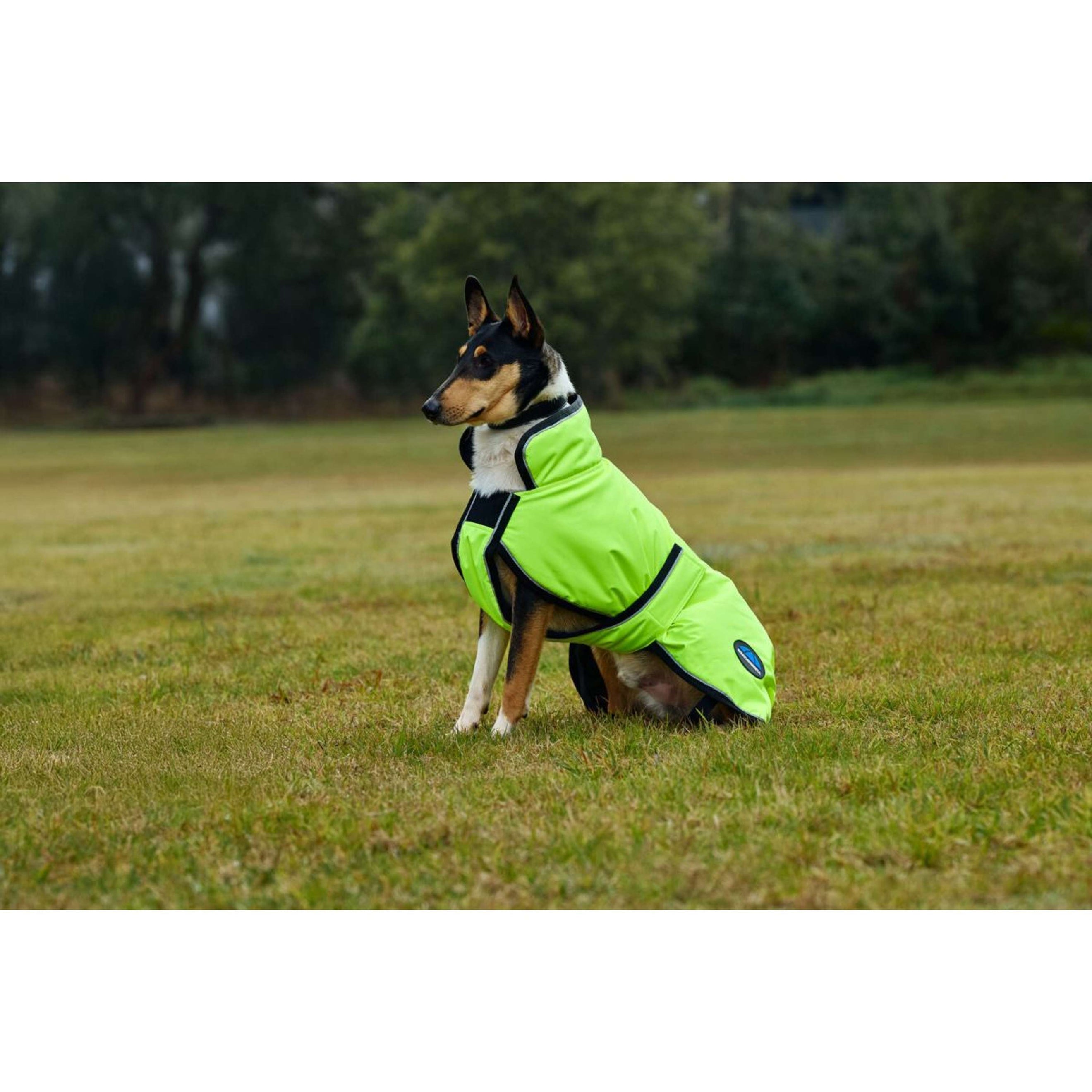 WeatherBeeta Couverture pour Chien ComFiTec Reflective 300D Deluxe Showerproof Jaune WeatherBeeta Couverture pour Chien ComFiTec Reflective 300D Deluxe Showerproof Jaune