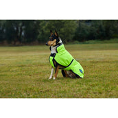 WeatherBeeta Couverture pour Chien ComFiTec Reflective 300D Deluxe Showerproof Jaune