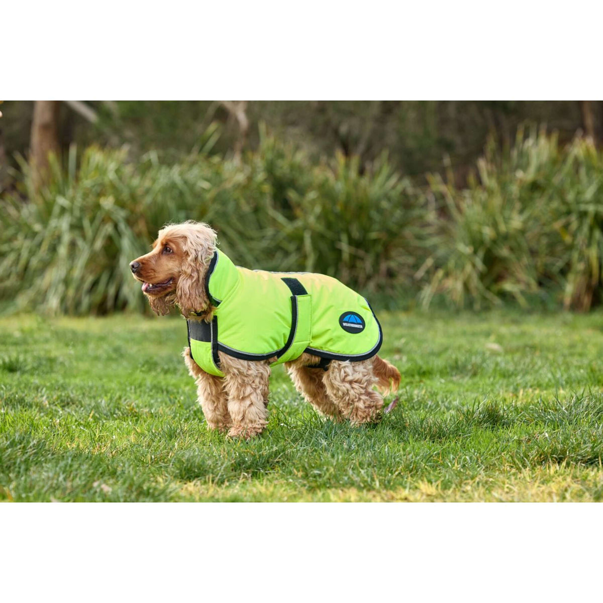 WeatherBeeta Couverture pour Chien ComFiTec Reflective 300D Deluxe Showerproof Jaune