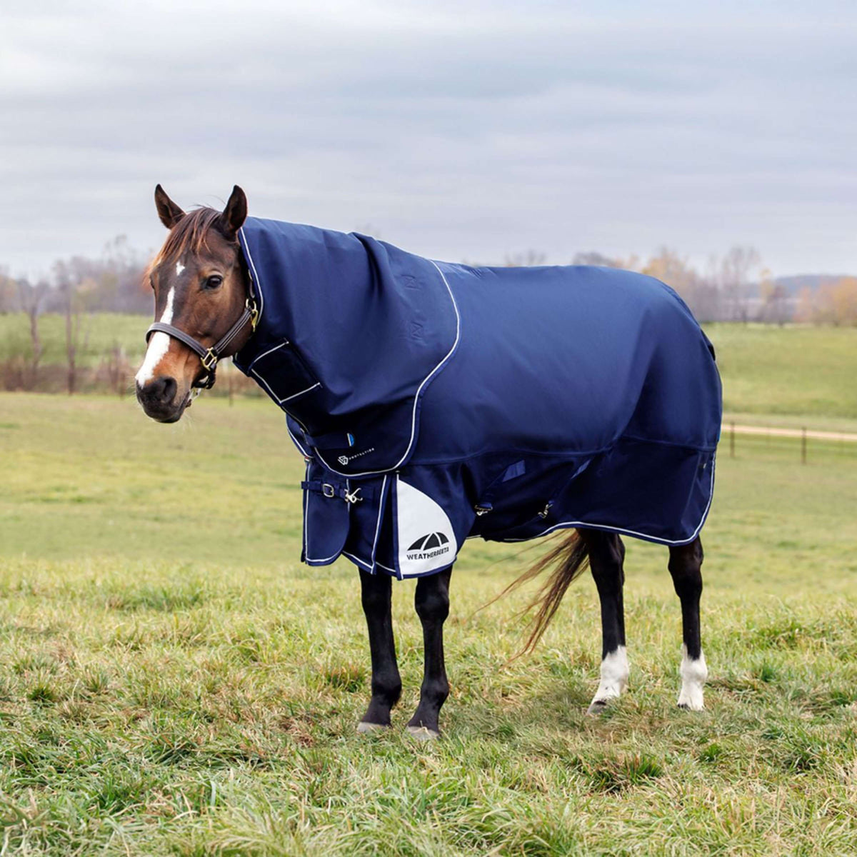 WeatherBeeta ComFiTec Ultra Turnout Standard Neck 220g Marine