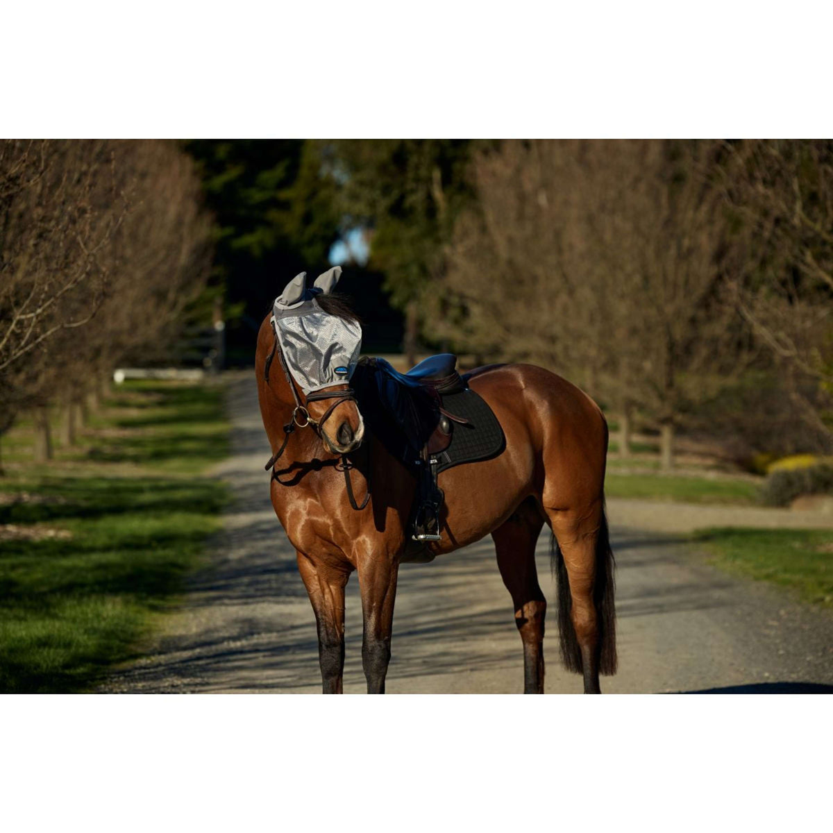 WeatherBeeta Masque Anti-Mouches ComFiTec Hexi Ride On Fly avec Oreilles Argent