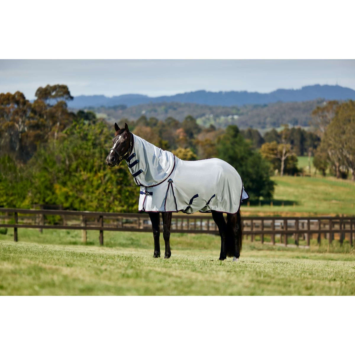 WeatherBeeta Couverture Anti-Mouches ComFiTec Airflow Detach-A-Neck Grey/Navy/Burgundy