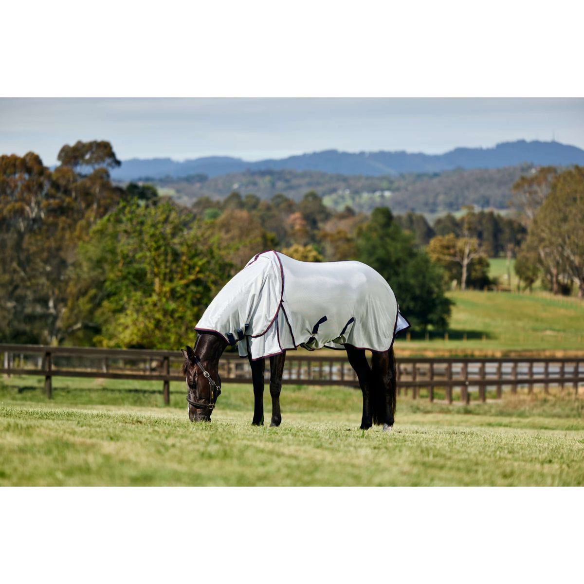 WeatherBeeta Couverture Anti-Mouches ComFiTec Airflow Detach-A-Neck Grey/Navy/Burgundy