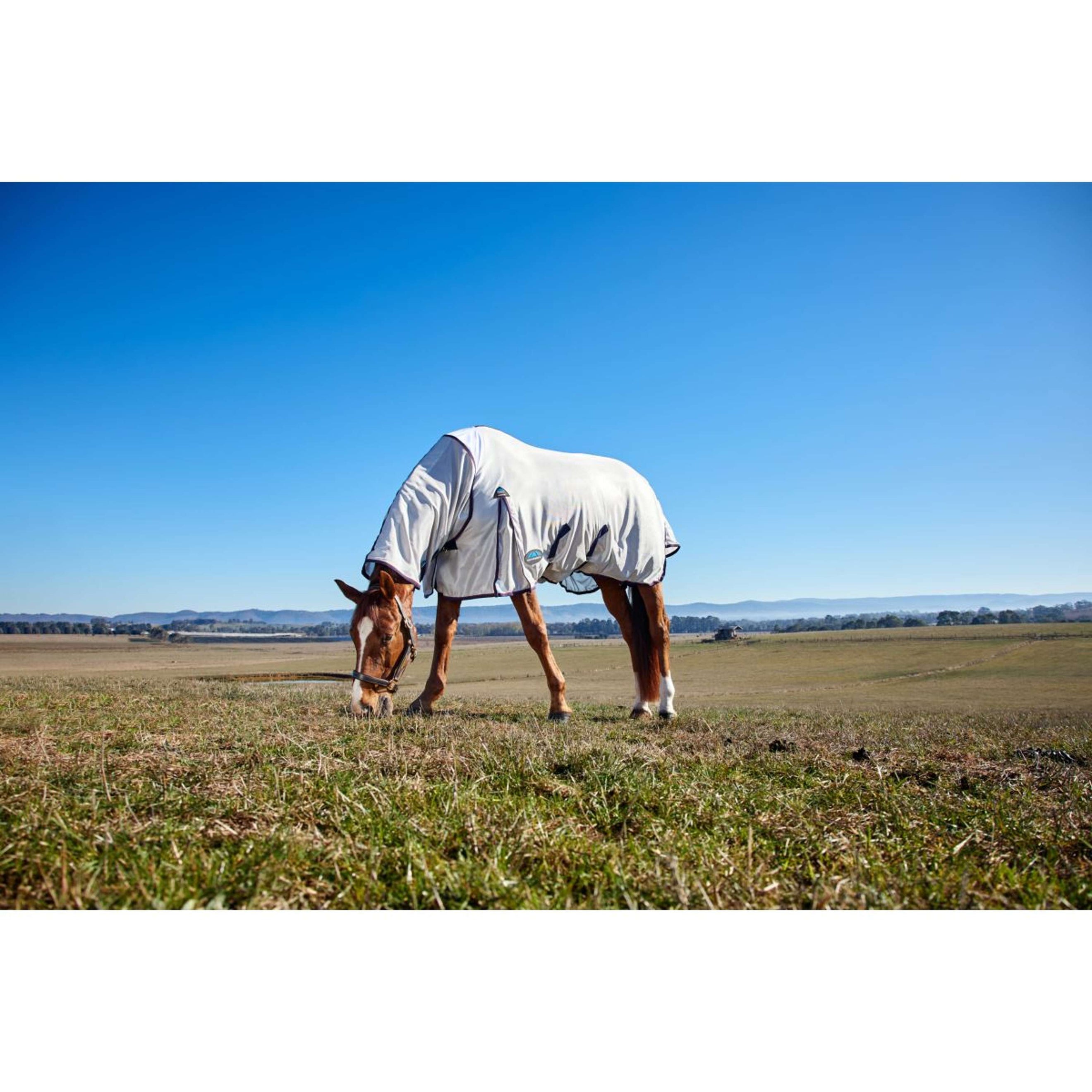 WeatherBeeta Couverture Anti-Mouches ComFiTec Airflow Detach-A-Neck Grey/Navy/Burgundy WeatherBeeta Couverture Anti-Mouches ComFiTec Airflow Detach-A-Neck Grey/Navy/Burgundy