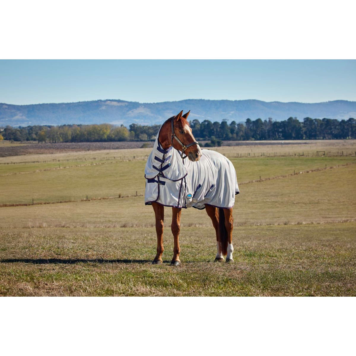 WeatherBeeta Couverture Anti-Mouches ComFiTec Airflow Detach-A-Neck Grey/Navy/Burgundy