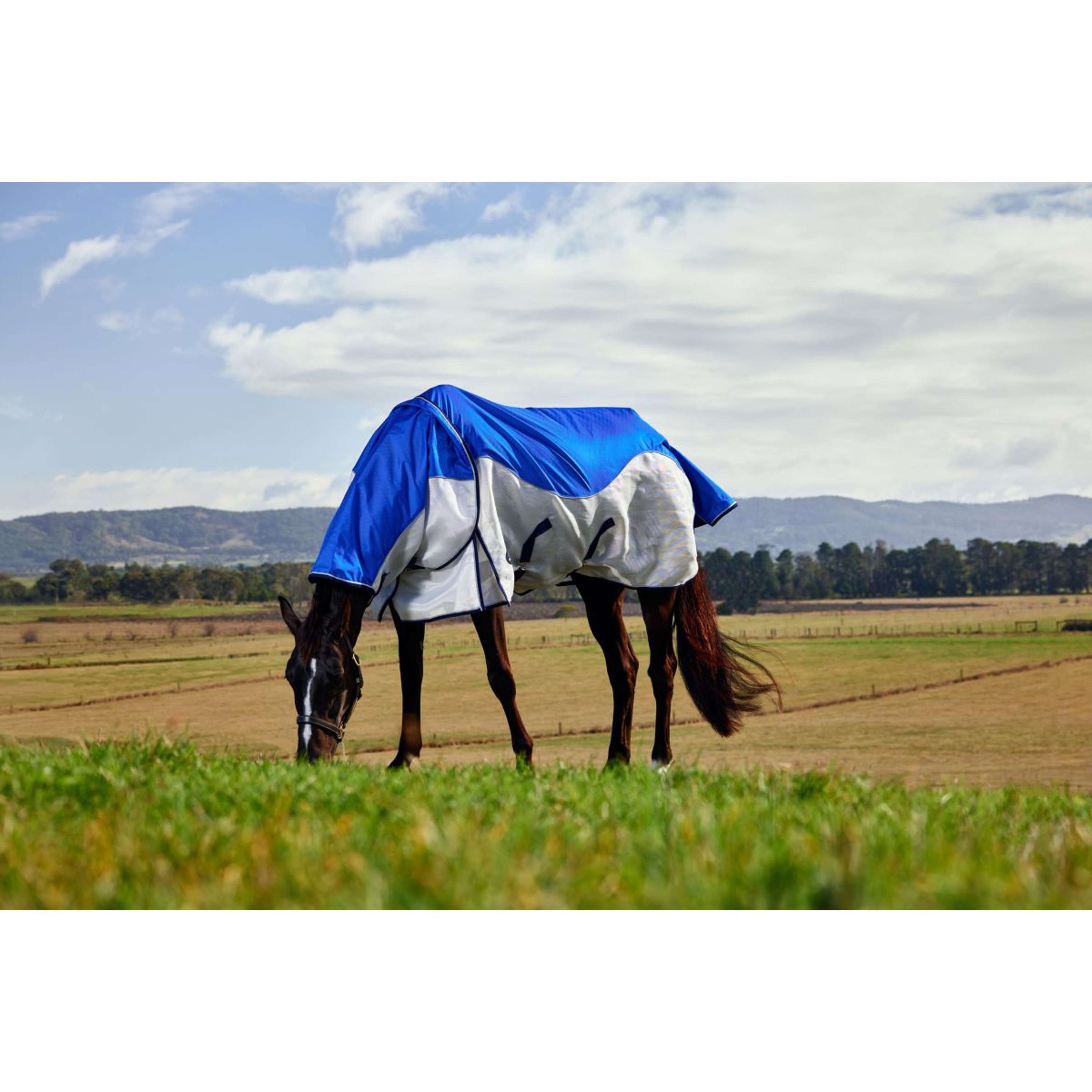 WeatherBeeta ComFiTec Duo Shield Deatch-A-Neck Bleu/Argent/Navy