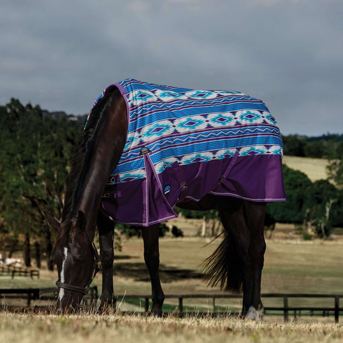 WeatherBeeta ComFiTec Legend Turnout 220g Purple Navajo Print