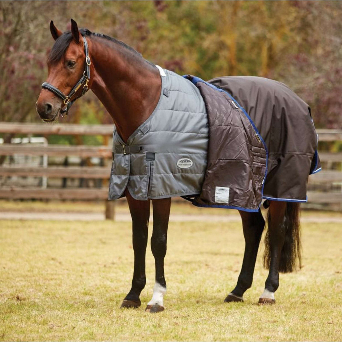 Weatherbeeta Comfitec Liner Heavy Rug 300g Gris