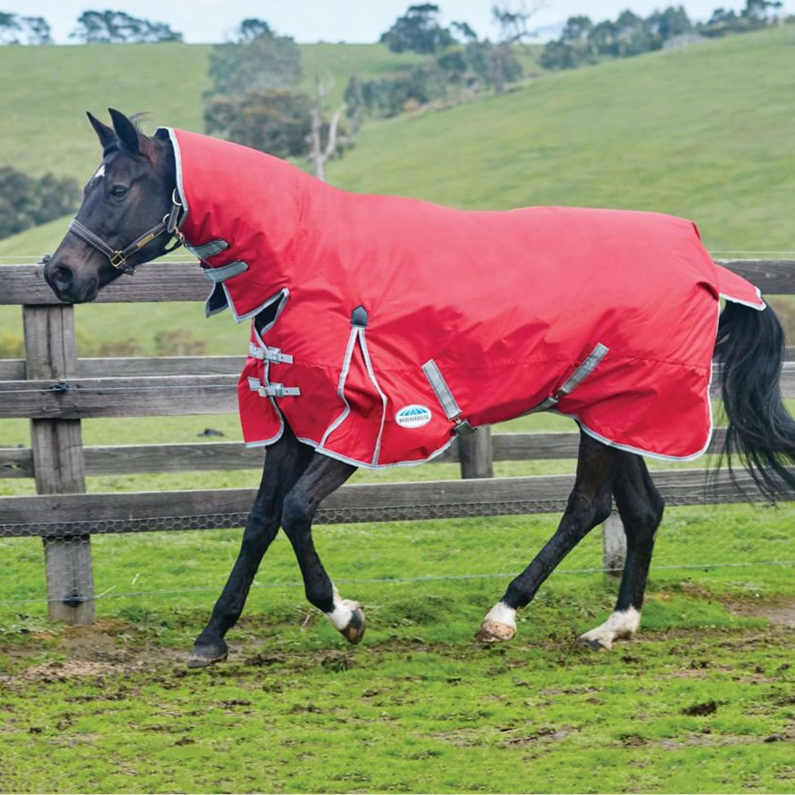 Weatherbeeta Couverture d'Hiver Comfitec Classic Combo Neck Medium/Lite 600D 100g Rouge/Argent/Navy