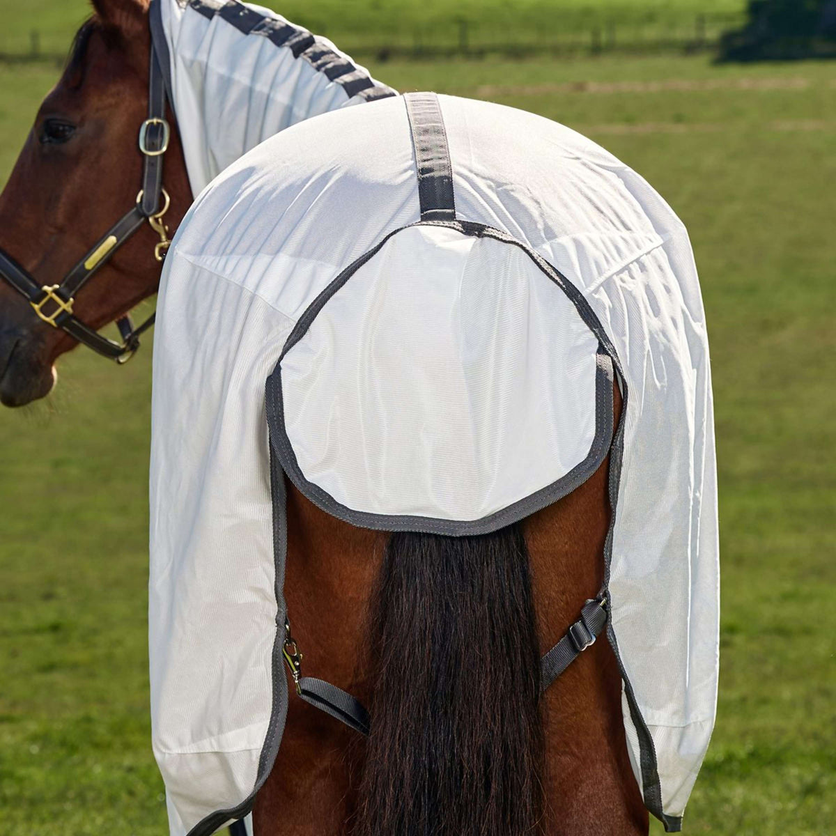 WeatherBeeta Couverture Anti-Mouches ComFiTec Tyro Combo Blanc/Charcoal