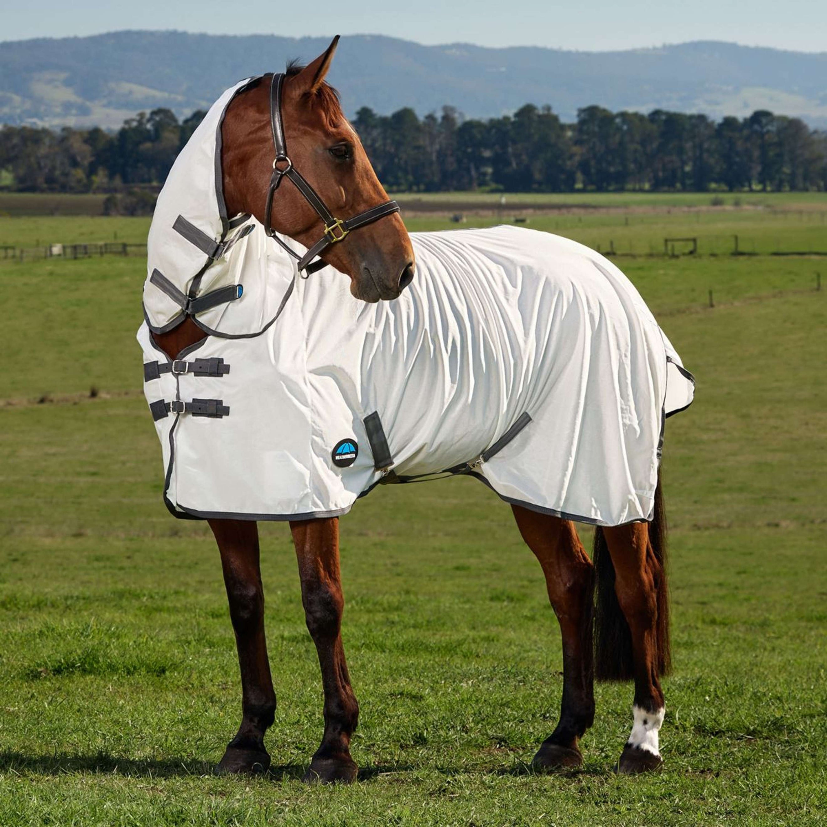 WeatherBeeta Couverture Anti-Mouches ComFiTec Tyro Combo Blanc/Charcoal