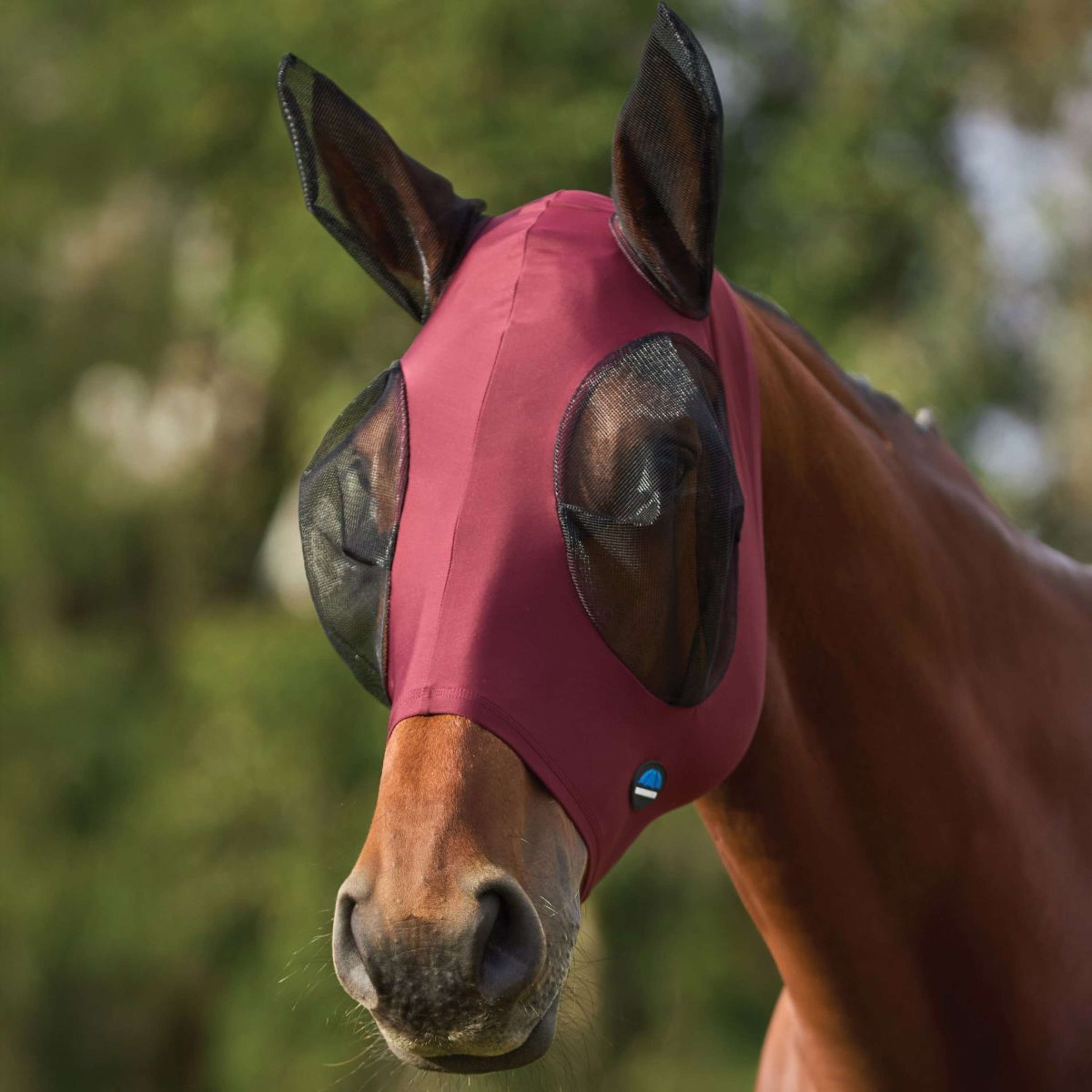 WeatherBeeta Masque Anti-Mouches ComFiTec Stretch avec Oreilles Bordeaux/Noir WeatherBeeta Masque Anti-Mouches ComFiTec Stretch avec Oreilles Bordeaux/Noir
