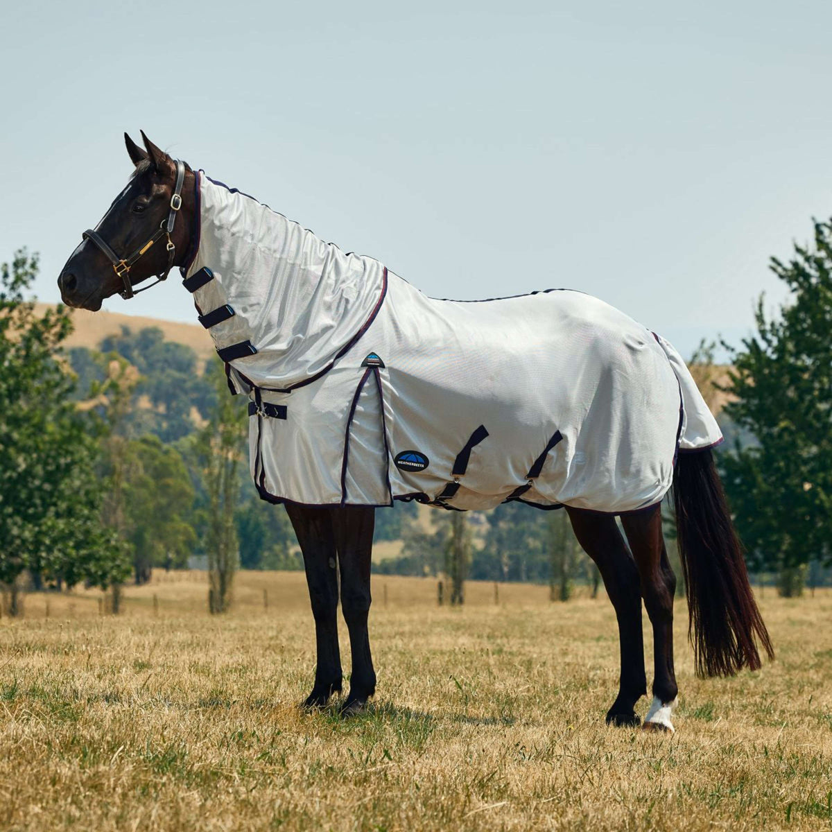 WeatherBeeta Couverture Anti-Mouches ComFiTec Airflow Detach-A-Neck Grey/Navy/Burgundy