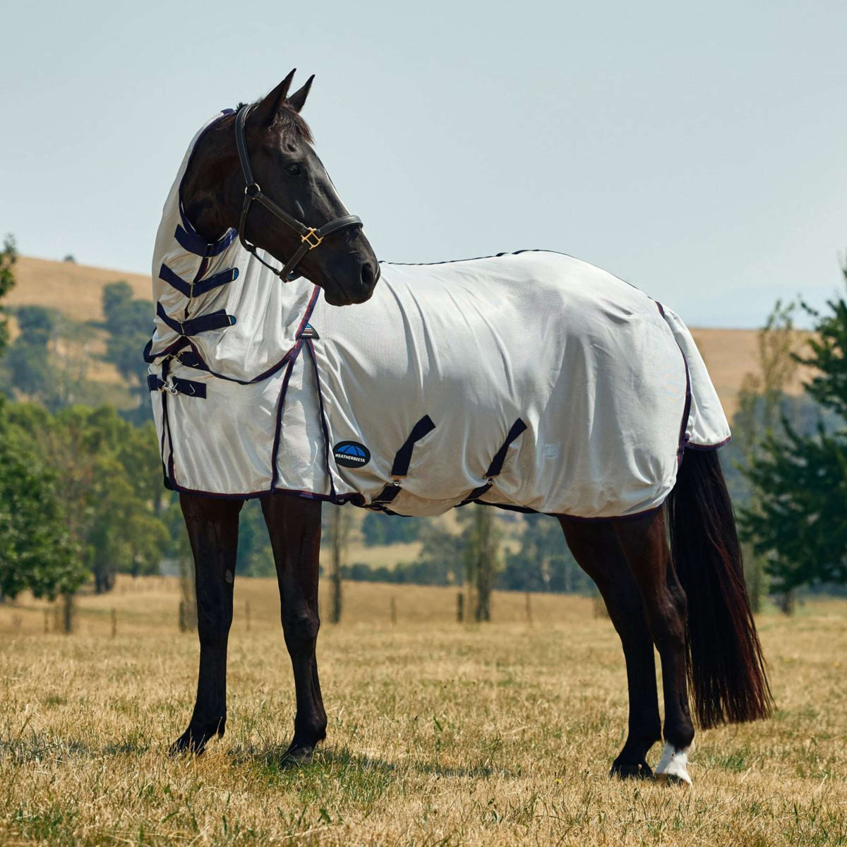 WeatherBeeta Couverture Anti-Mouches ComFiTec Airflow Detach-A-Neck Grey/Navy/Burgundy