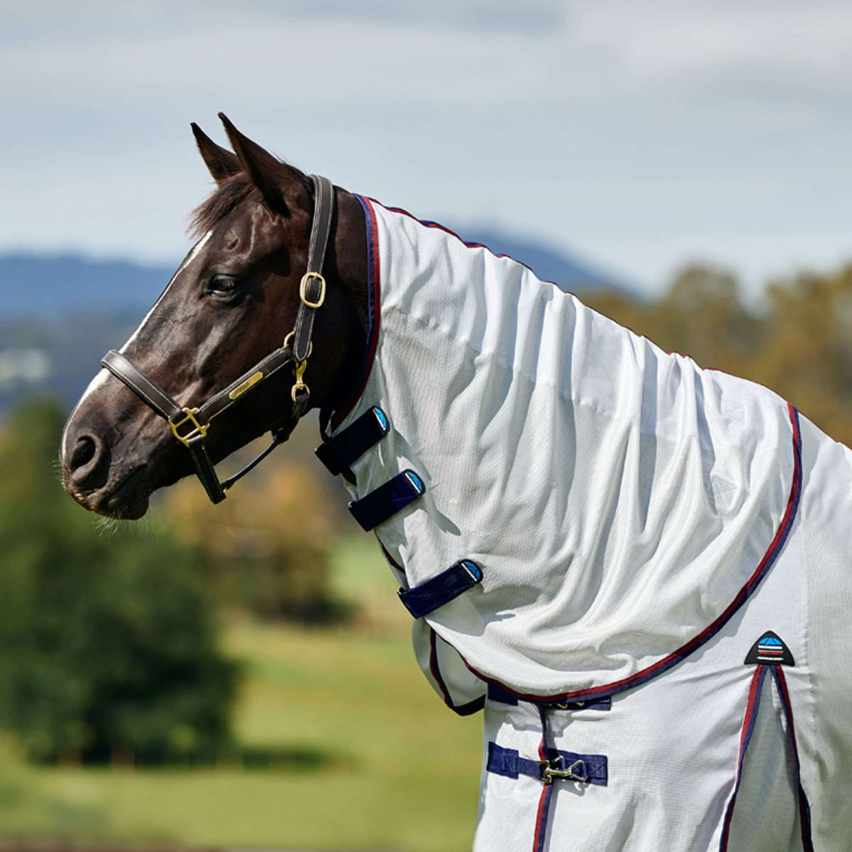 WeatherBeeta Couverture Anti-Mouches ComFiTec Airflow Detach-A-Neck Grey/Navy/Burgundy