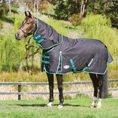 Weatherbeeta Winter Rug Green-Tec 900D Detach-A-Neck Lite Plus 50g Noir/Vert