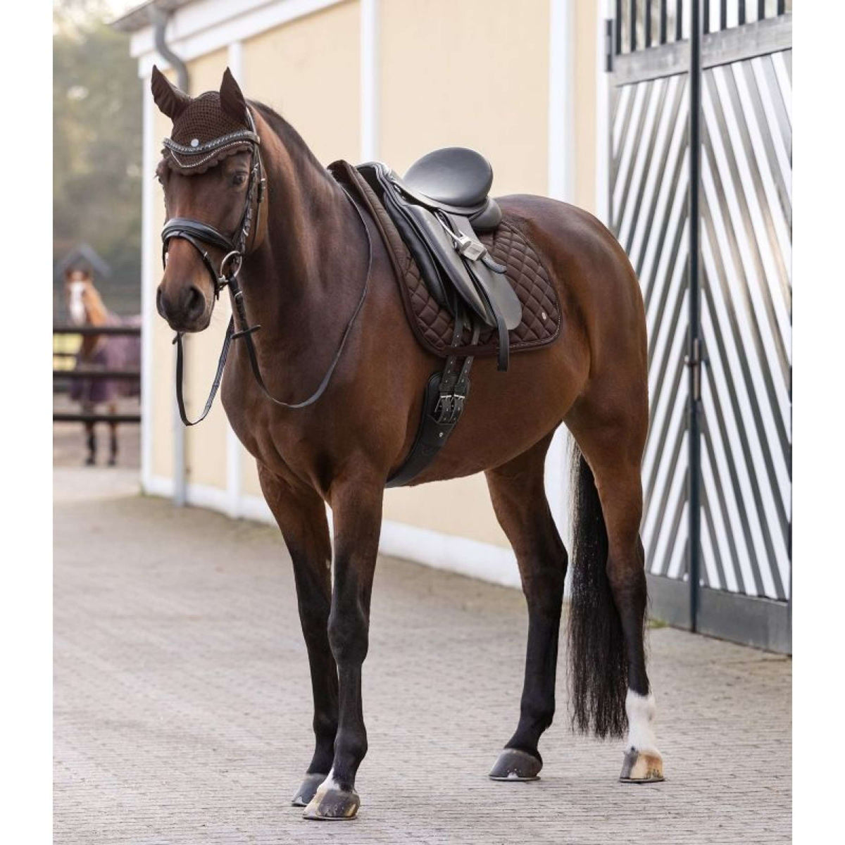 Waldhausen Bonnet Anti-Mouches Nepal Marron